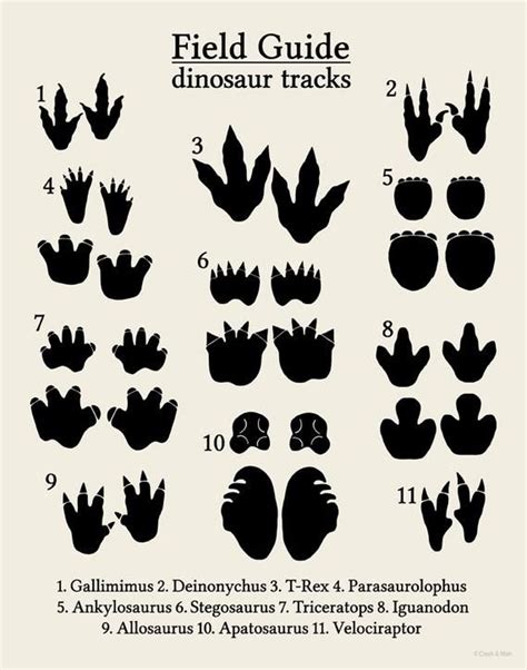 Dinosaur Tracks Printable